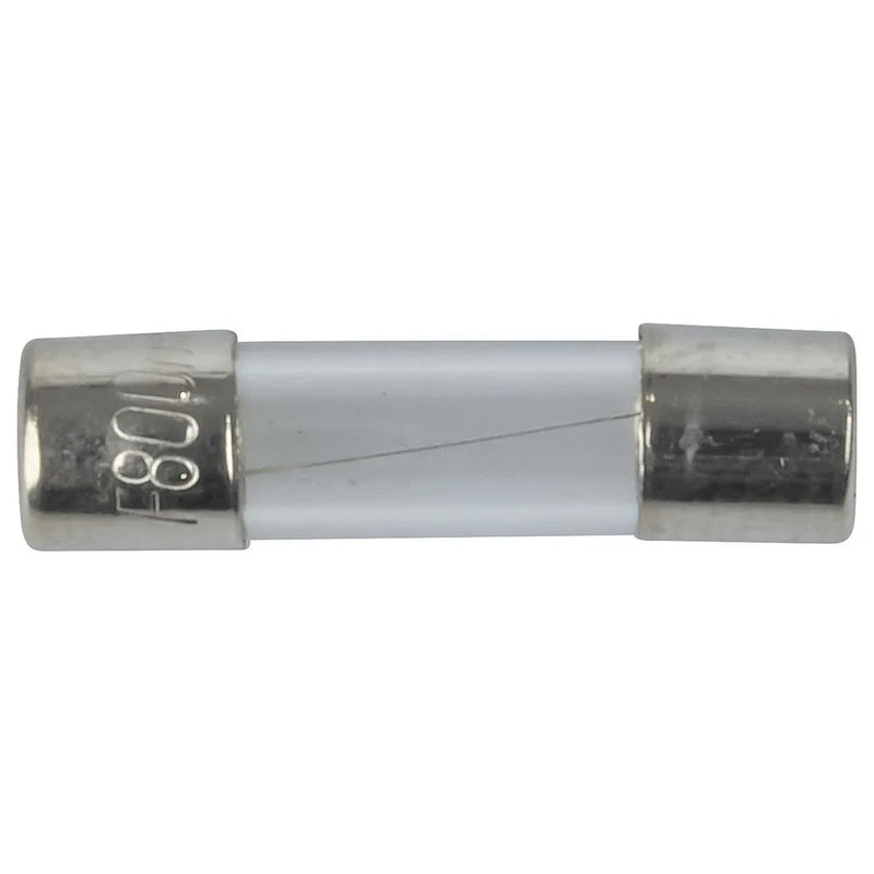 800mA M205 Quick Blow Fuse 250VAC