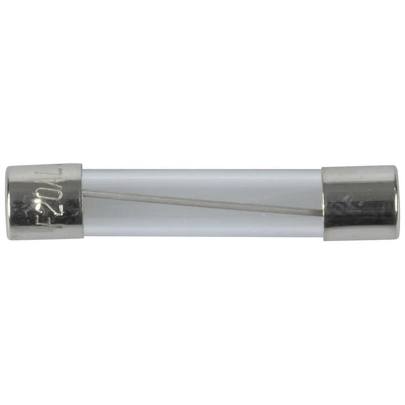 20A 3AG Quick Blow Fuse
