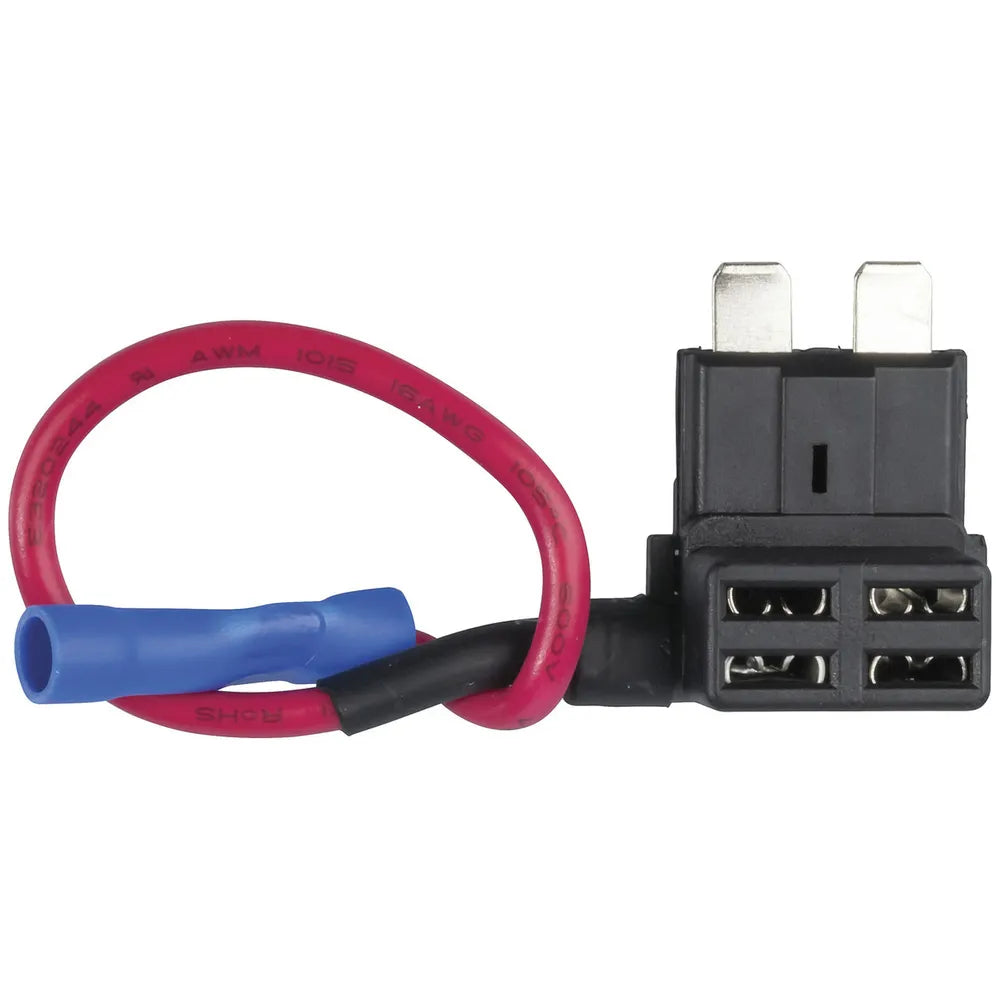 Fuses & Circuit Protection
